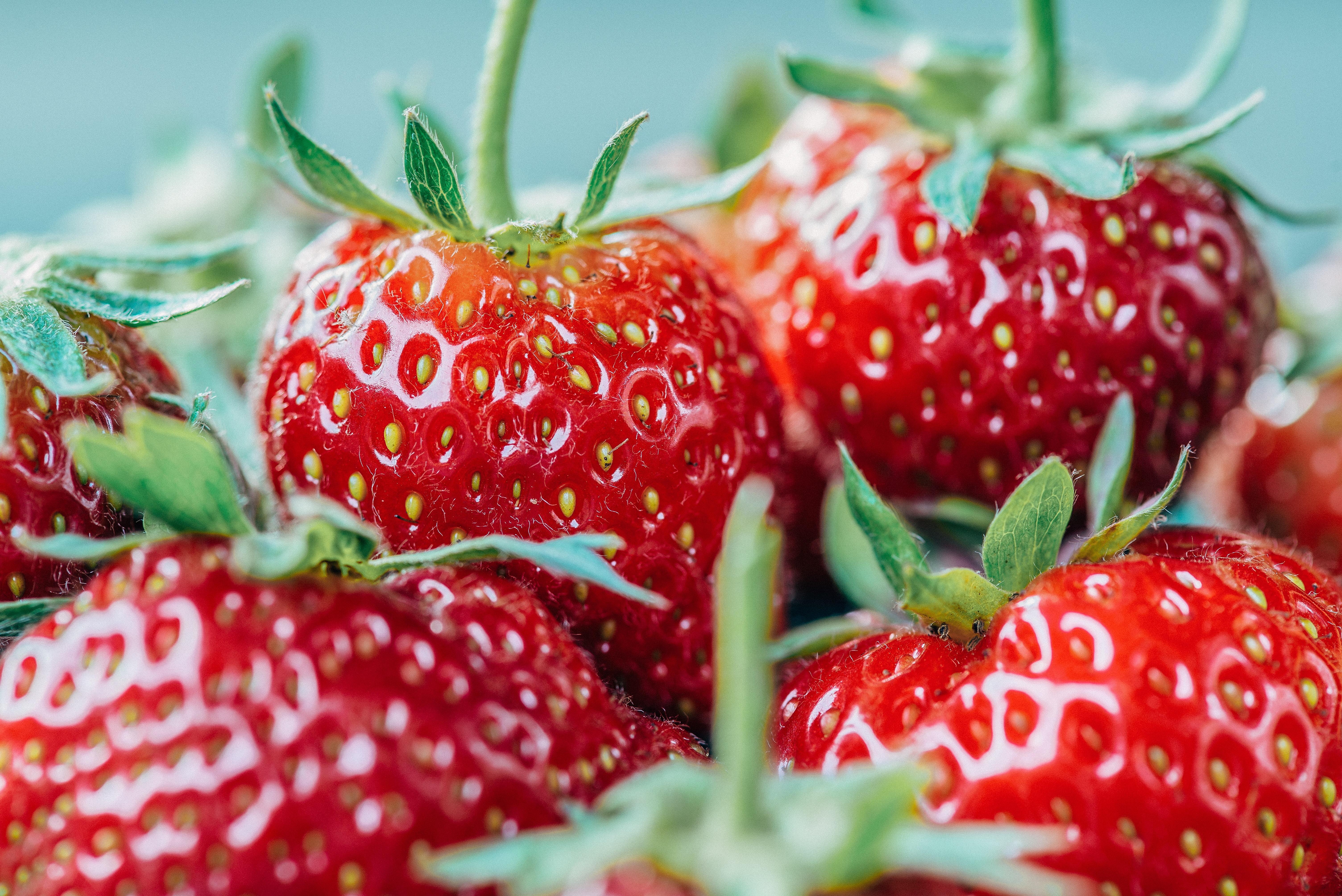 Strawberries close-up