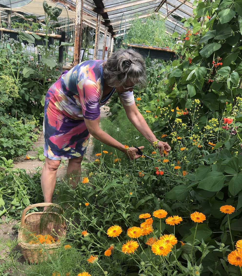 Oogsten van bloemen