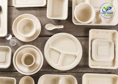 Bagasse Tableware - The Ultimate Guide to Sustainable Food Packaging