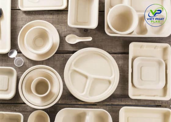 Bagasse Tableware - The Ultimate Guide to Sustainable Food Packaging
