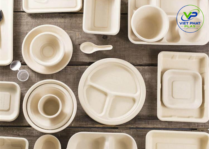 Bagasse Tableware - The Ultimate Guide to Sustainable Food Packaging