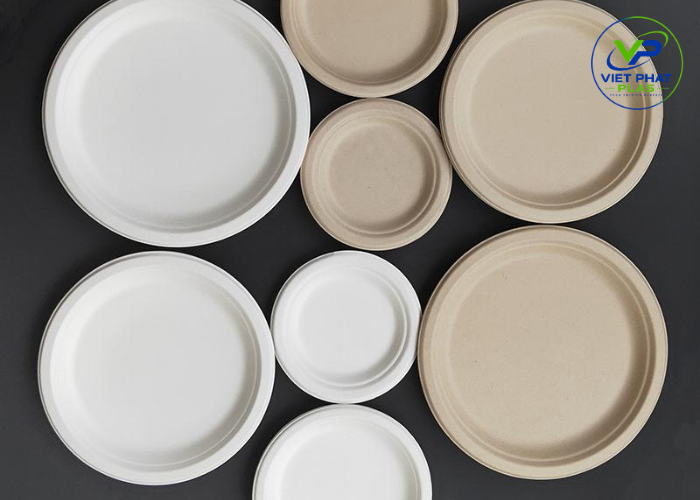 Bagasse plates for restaurants and takeaway meals