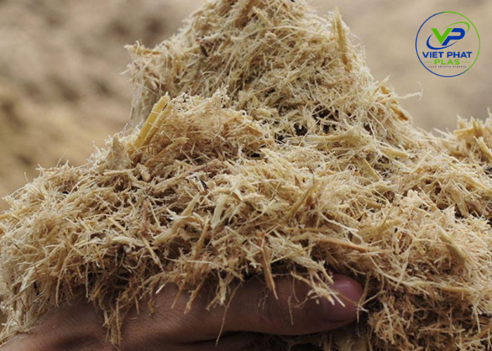 Sugarcane bagasse raw material used for eco friendly packaging