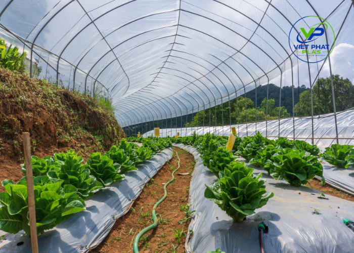 Pallet film types - Agricultural Film