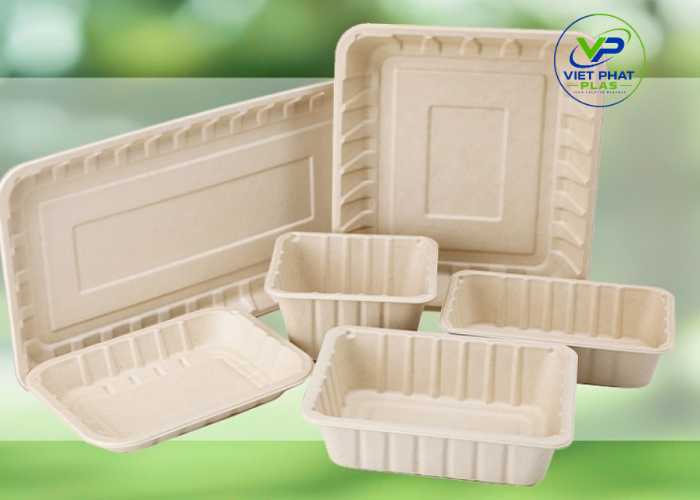 Are Bagasse Containers Microwave Safe?