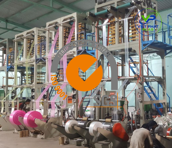 Certifications such as ISO and food safety standards ensure consistent quality.