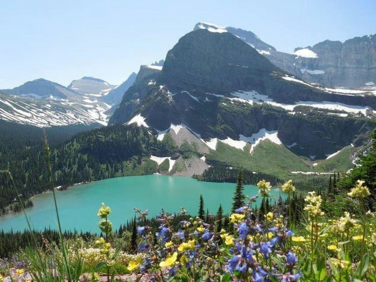 Rocky Mountain alpine lake turquoise water wildflowers summer