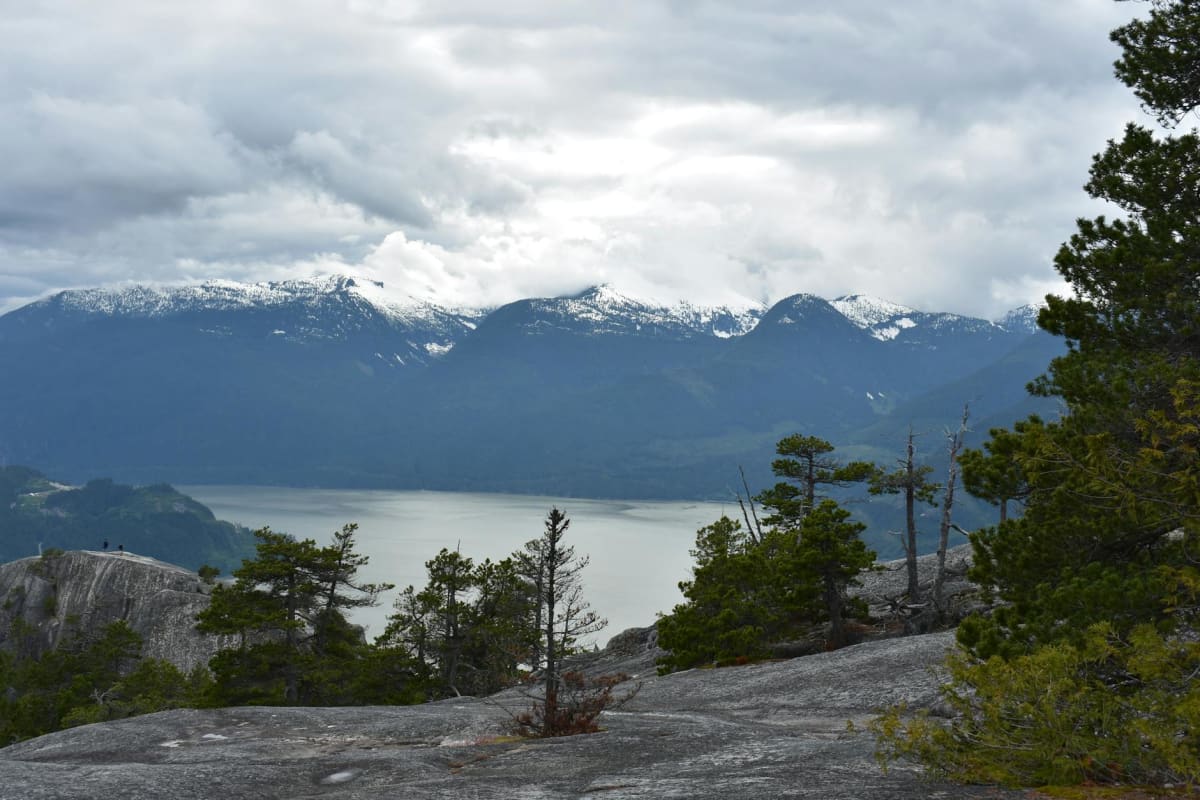Squamish rock formations pine forest steep descent trail