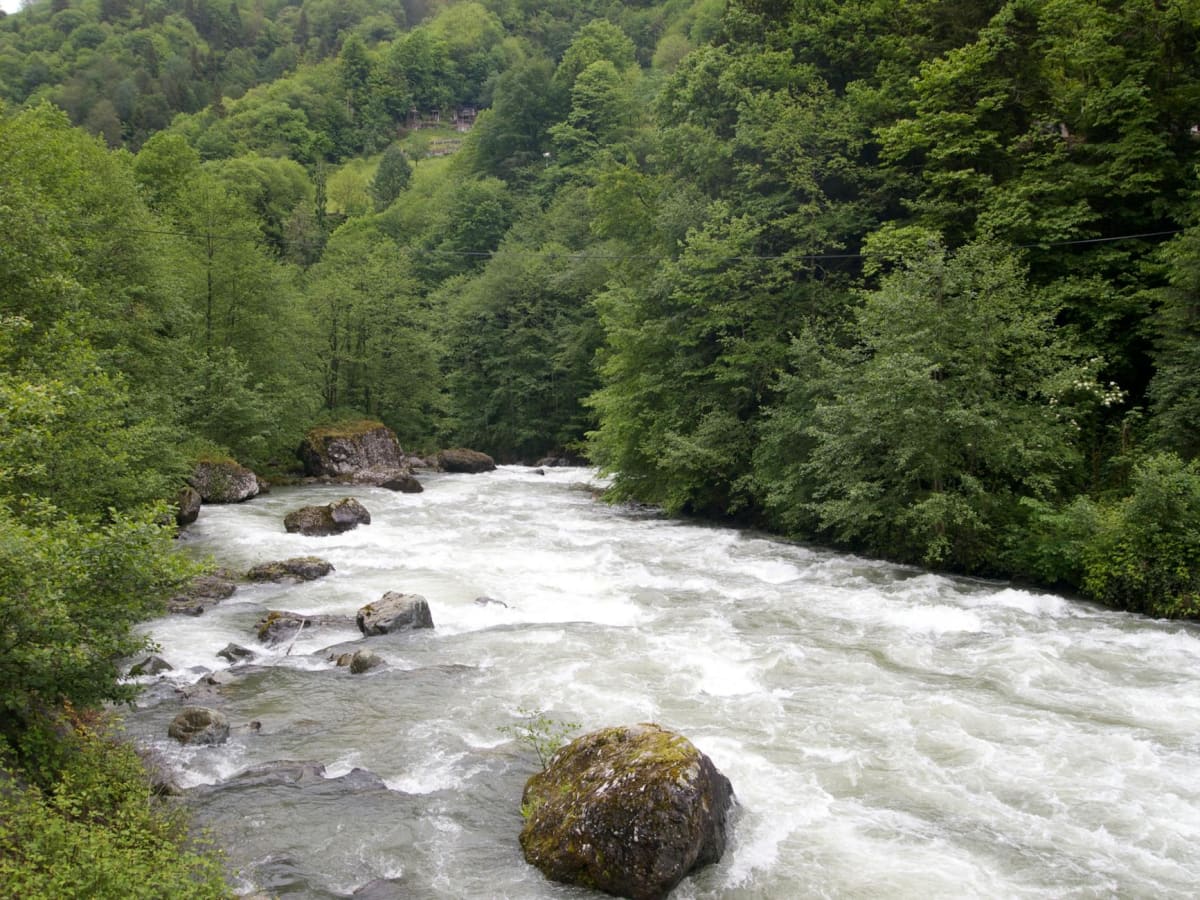 Downieville singletrack forest descent stream crossing technical features