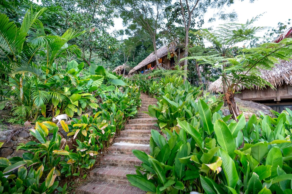 tropical rainforest surf camp wooden bungalows