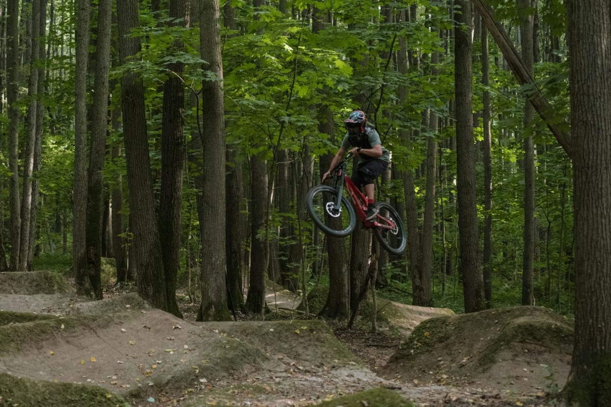 mountain bike trail singletrack forest canopy
