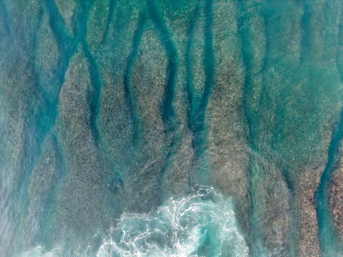 Asu Right Mentawai Islands reef left-hand wave morning glass