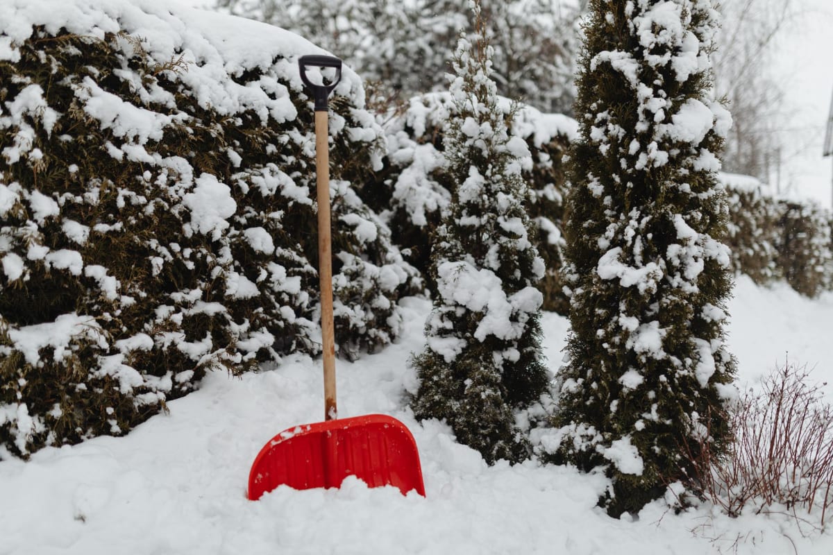 Black Diamond Tour Shovel backcountry snow shovel aluminum shaft