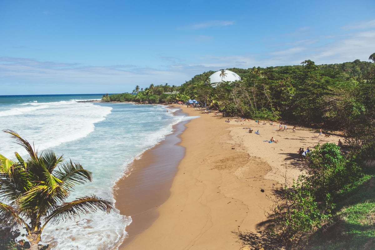 Rincon pointbreak Puerto Rico main peak autumn swell Caribbean