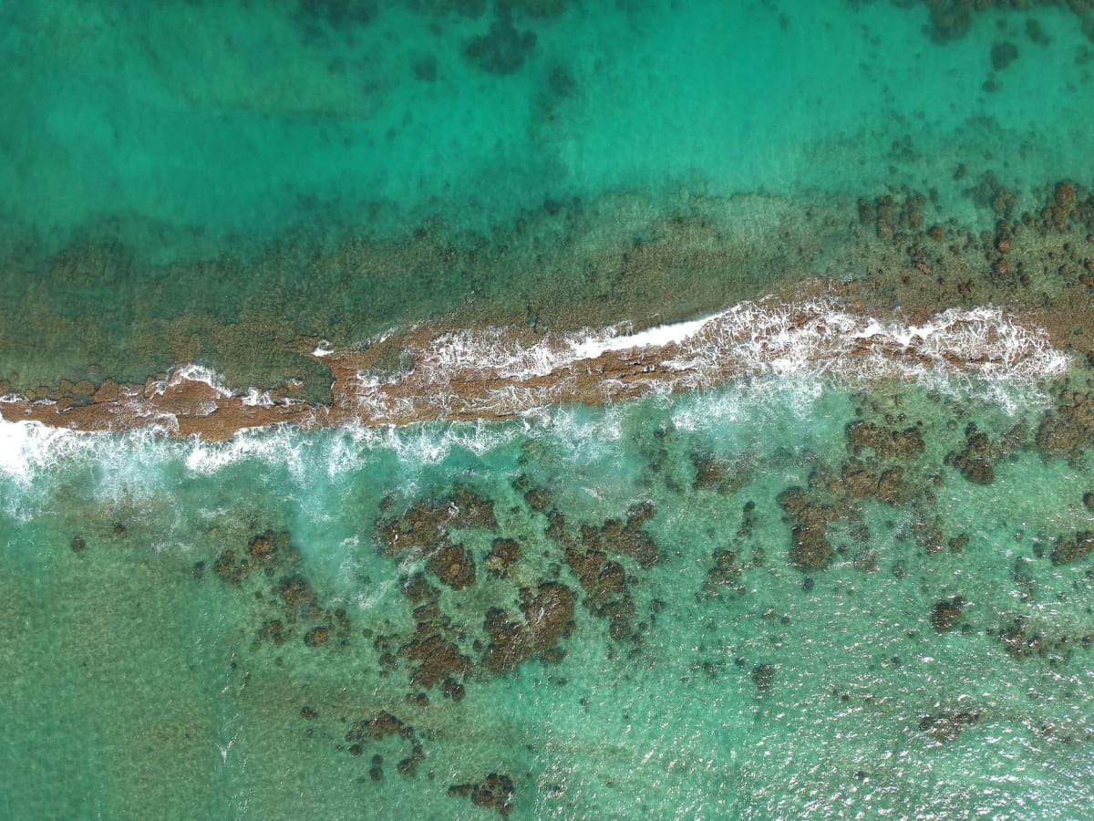 Punta Colonet Baja California Mexico left point break reef