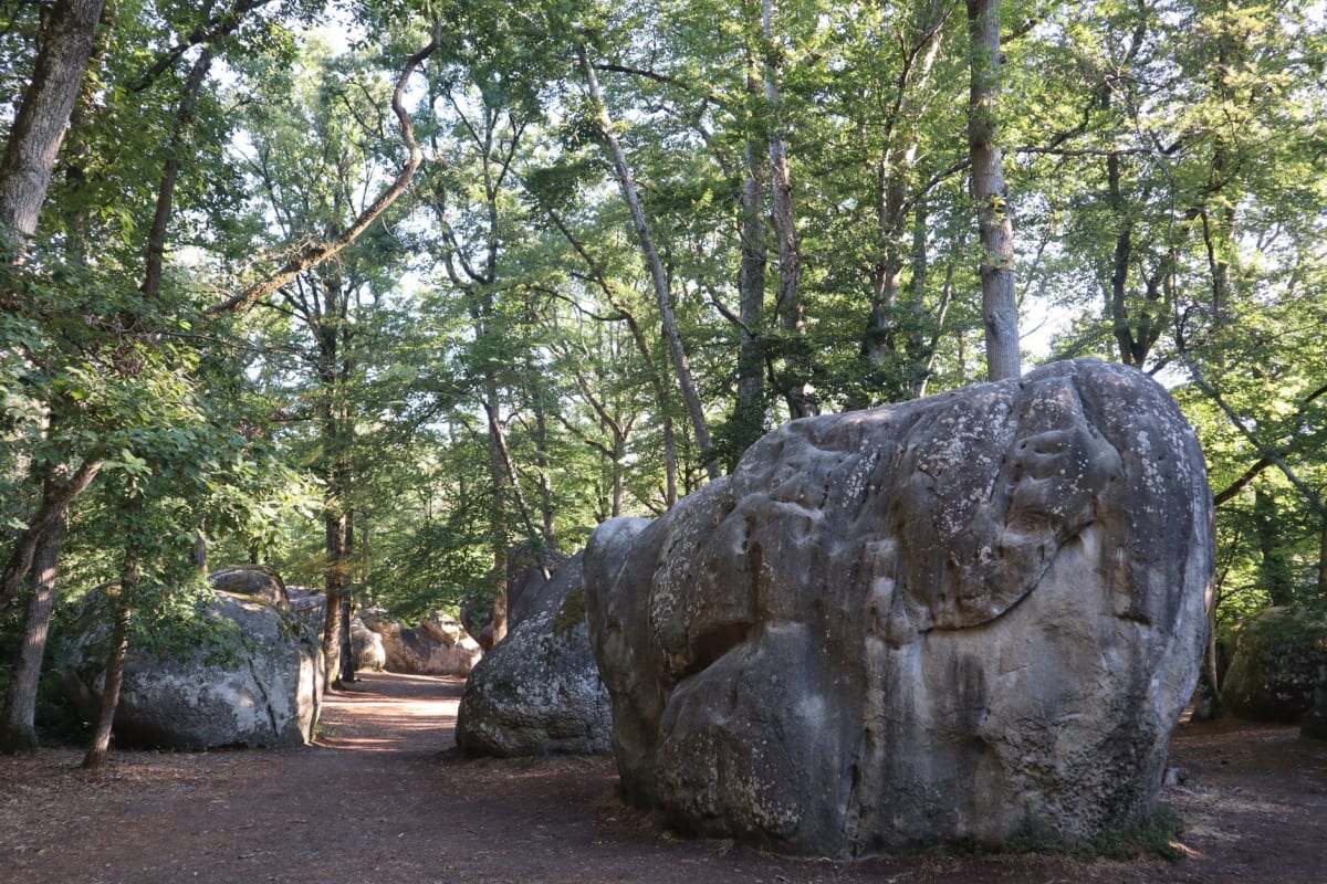 sandstone boulder problems Fontainebleau France forest canopy surrounding rocks