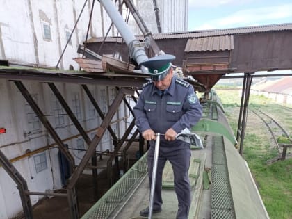 Башкирия увеличивает экспорт зерна