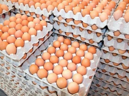 Цены на яйца устанавливают новые рекорды: такого еще не было