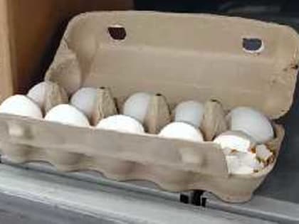 В Россию привезли сотни тысяч иностранных яиц: такого не ожидали