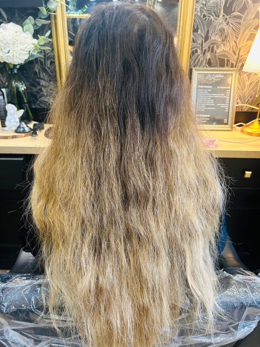 Salon Core