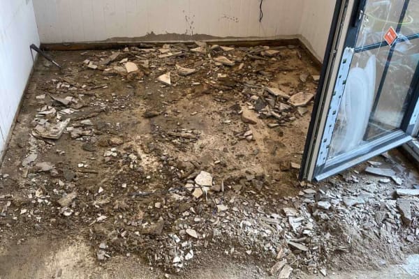 Project iuyszyr9zlwwo6lctecg