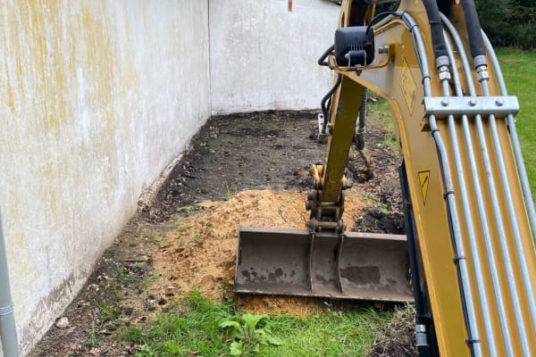 Project lewmrx1sapwgetsybbvx