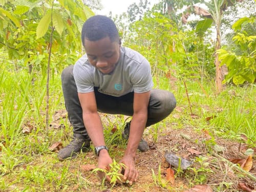 Climate Action Projects