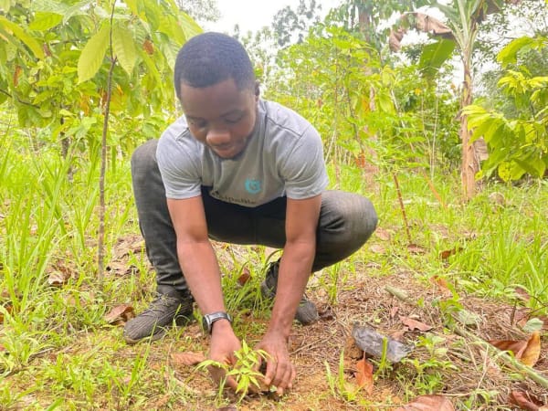 Climate Action Projects