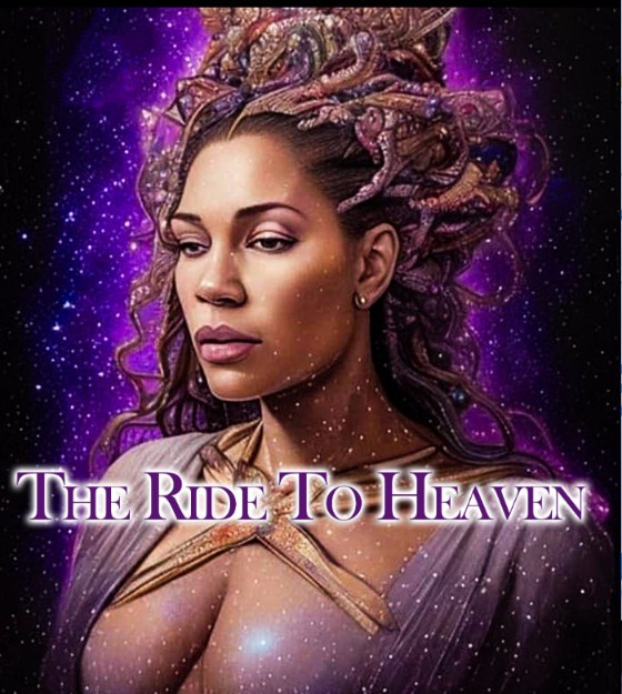 Solid X TV LLC photo 3