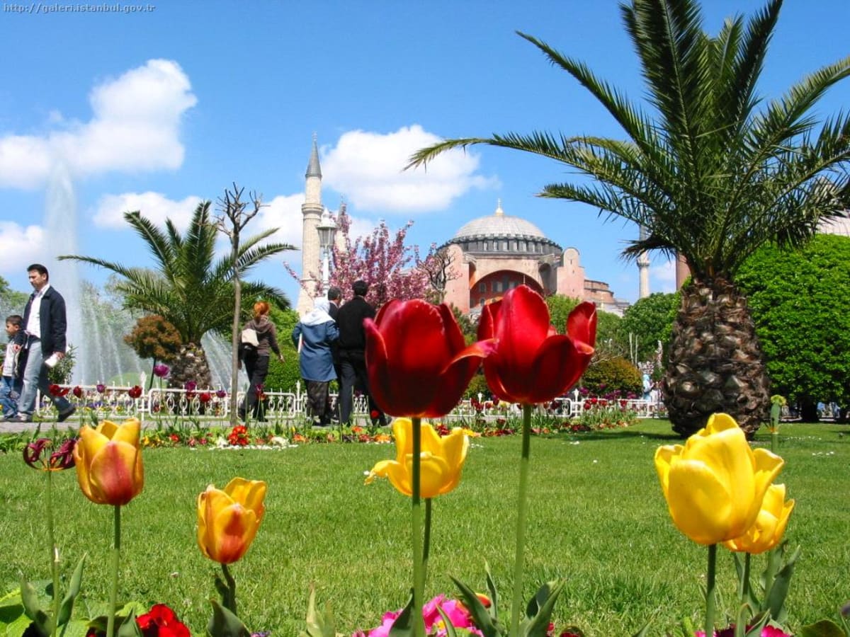 Istanbul Explorer — 4 Nights / 5 Days