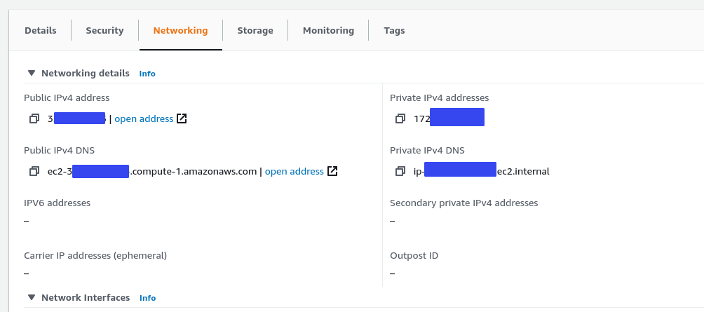 Newly created EC2 server has only one internal/external IP