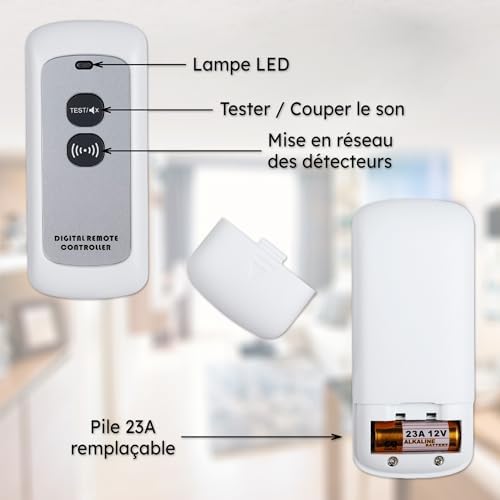 Vue 2 de Telecommande Pour Detecteurs De