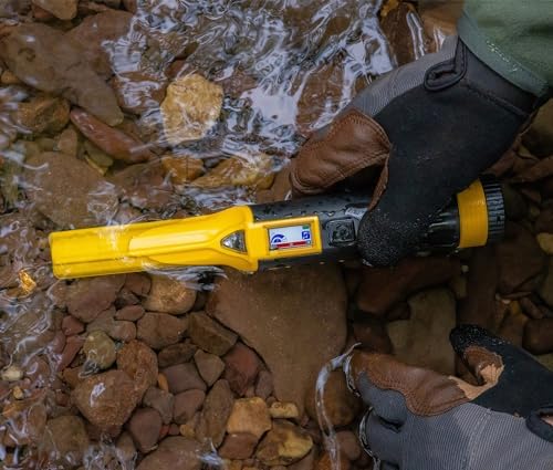 Vue 5 de Nokta Accupoint Detecteur De