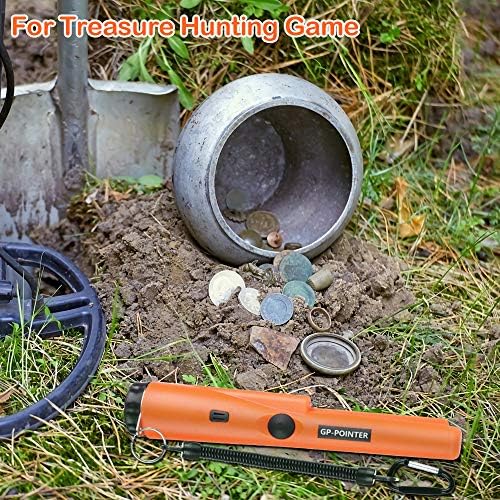 Vue 4 de Diealles Shine Pinpointer Ip