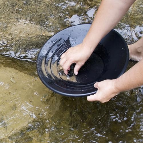 Vue 7 de Hengbird Bassin De Casserole