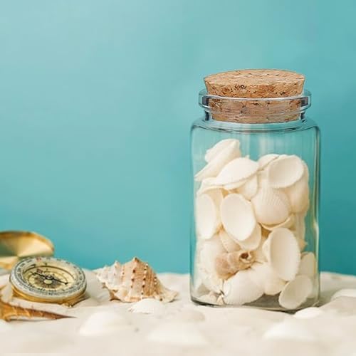 Vue 6 de Pieces Ml Mini Bouteilles