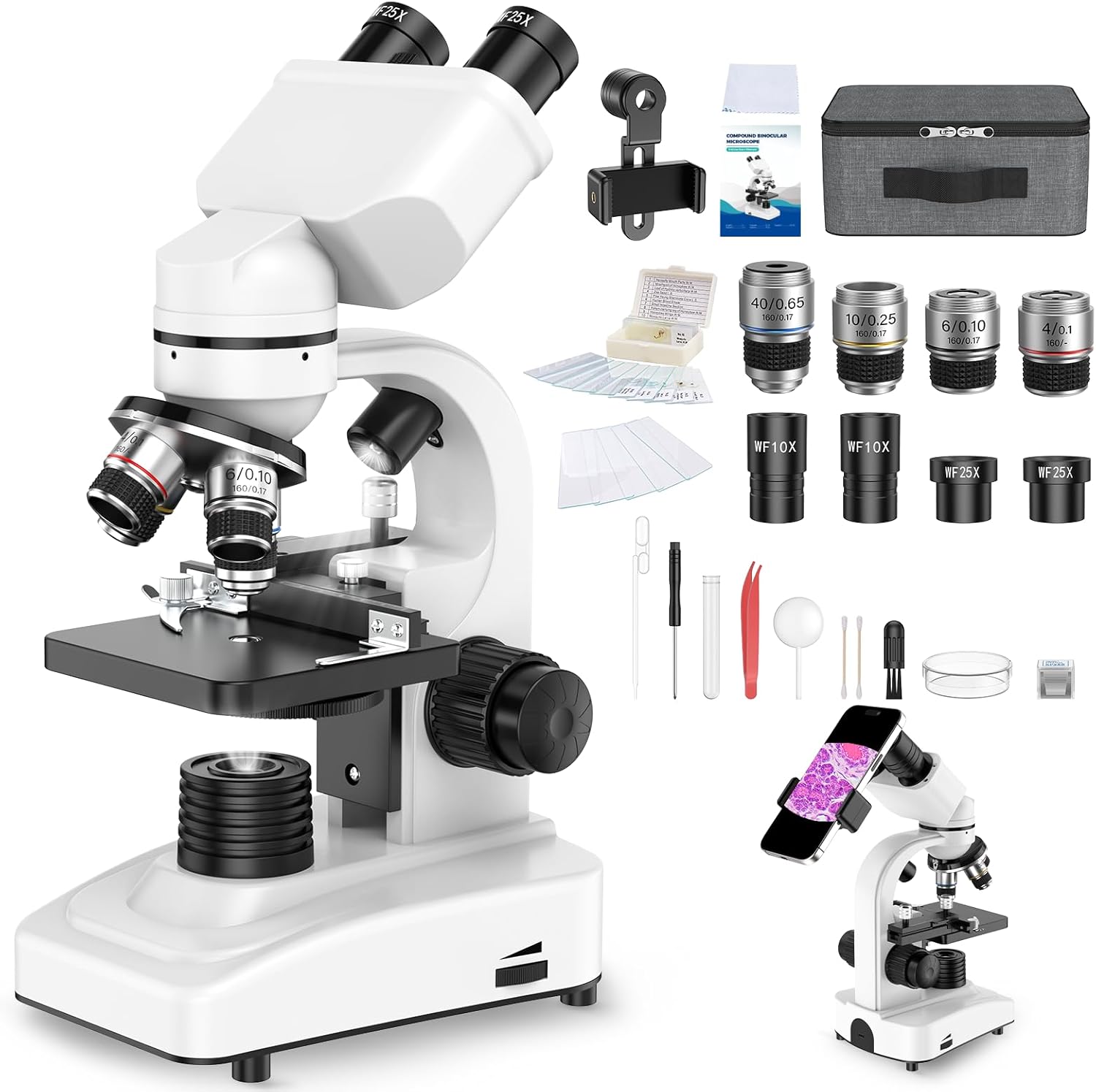 Microscope Binoculaire Xx Regle