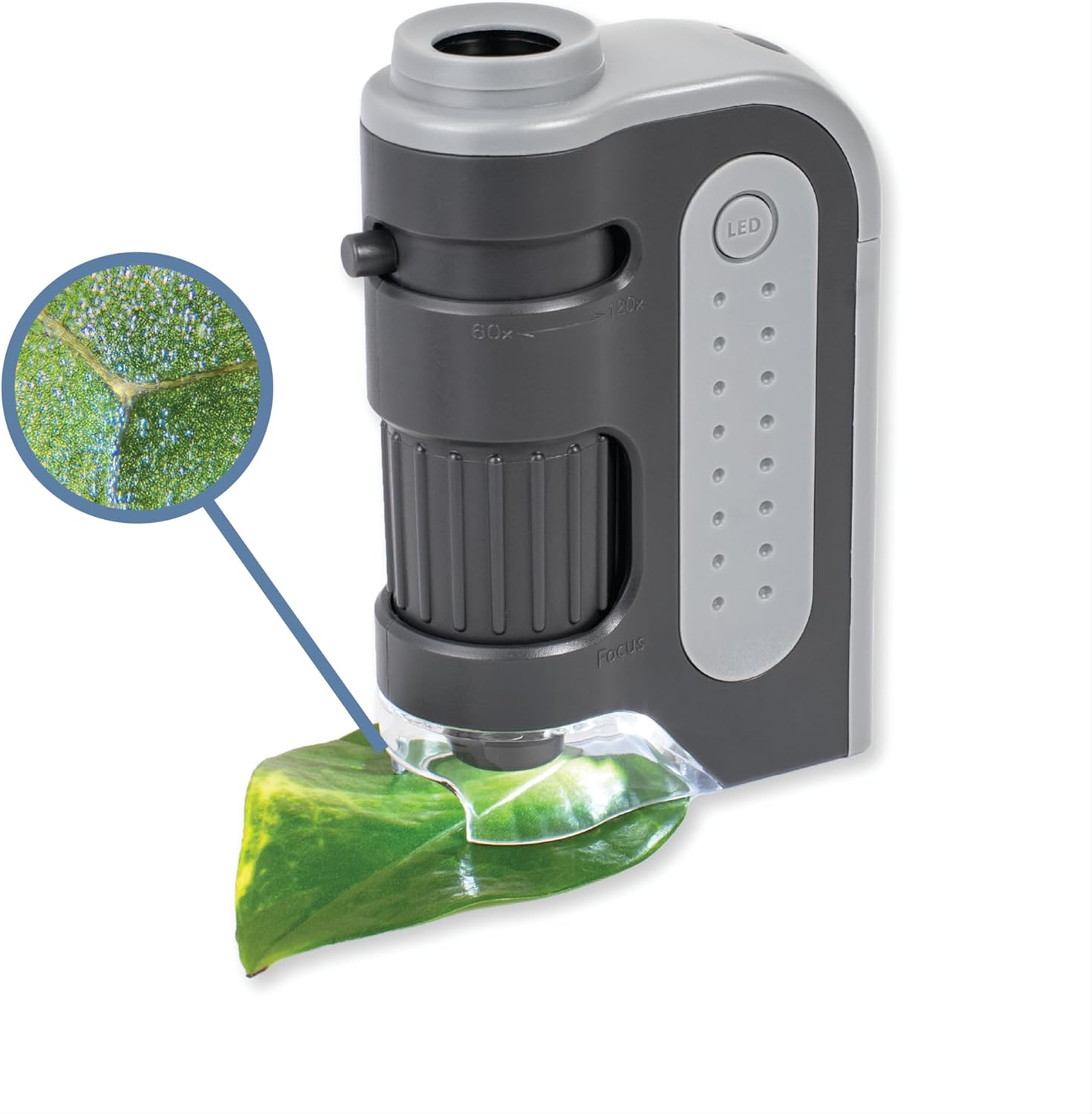 Carson Microbrite Plus Microscope