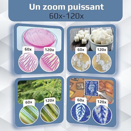 Vue 5 de Carson Microbrite Plus Microscope