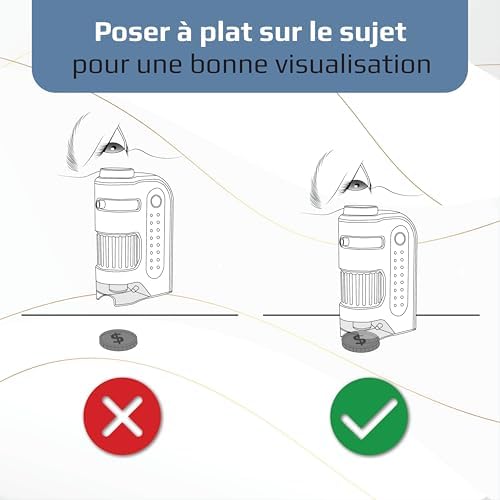 Vue 6 de Carson Microbrite Plus Microscope