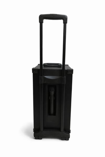 Eastar CUBE 88 Double 8-Inch Trolley Speaker with Wireless Mic & Bluetooth (80W)