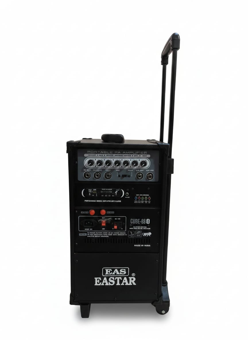 Eastar CUBE 88 Double 8-Inch Trolley Speaker with Wireless Mic & Bluetooth (80W)