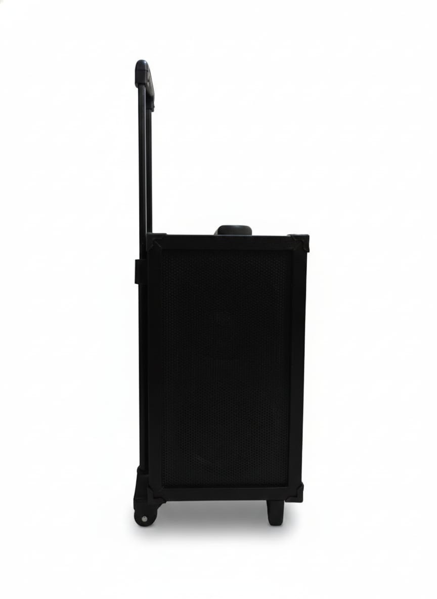 Eastar CUBE 88 Double 8-Inch Trolley Speaker with Wireless Mic & Bluetooth (80W)