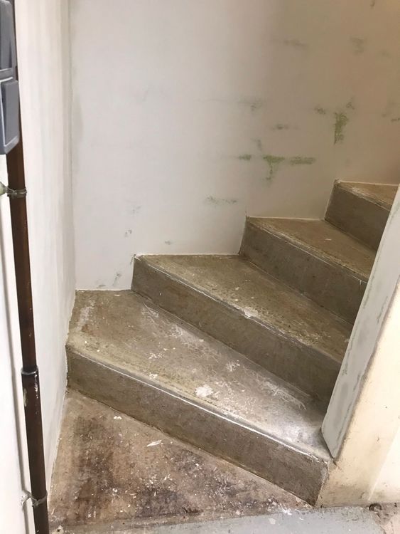 Habillage escalier béton image 4