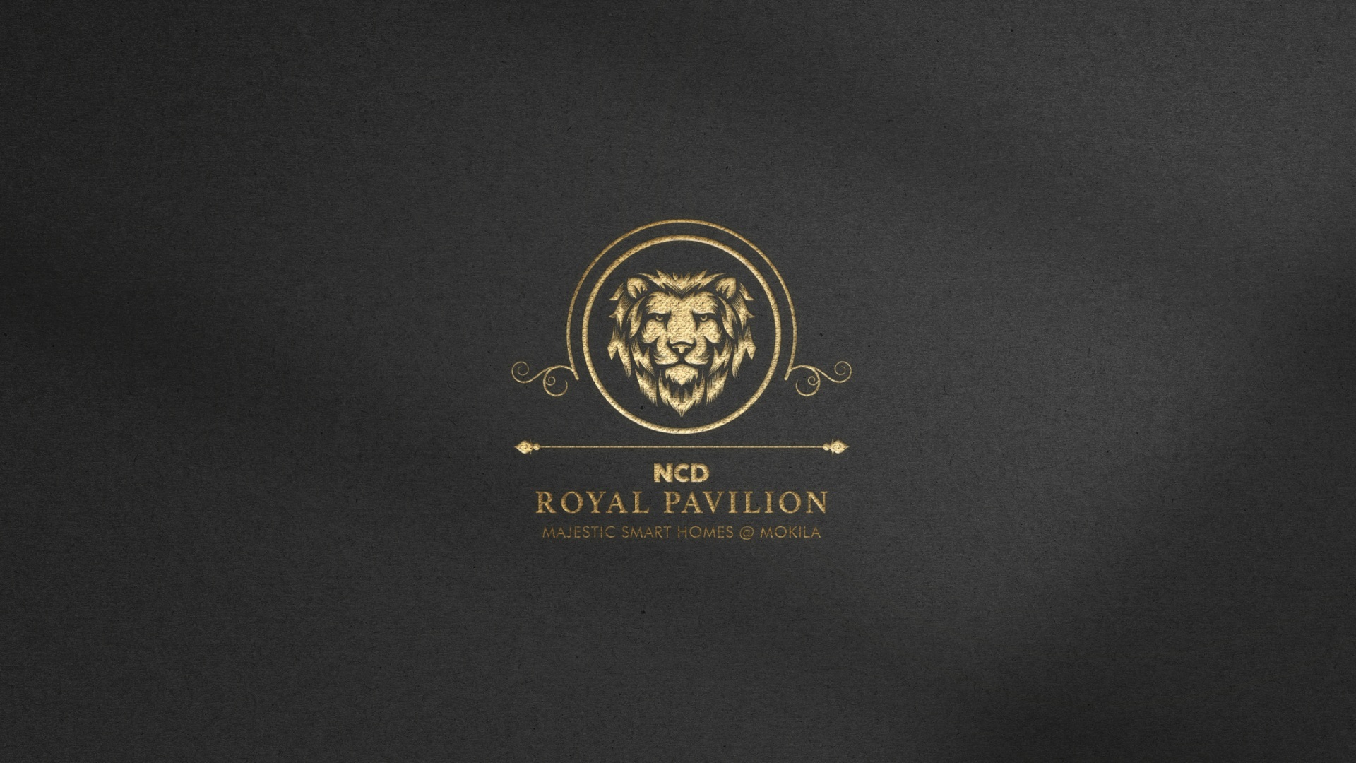 BRAND IDENTITY & PRINT DESIGN