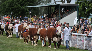 Royal Three Counties Show