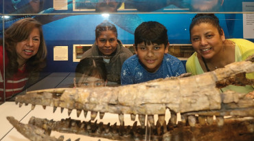 Fossil Fun Weekend 