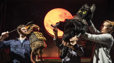 Toto The Ninja Cat And The Great Snake Escape
