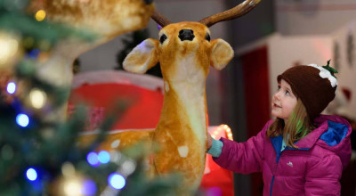 Visit Santa: Vintage Sleigh Ride Experience