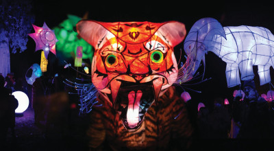 Fringe Arts Wolves makes its debut